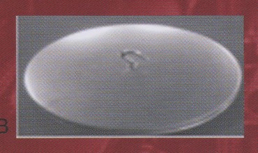 MASTURLAL BACK PIC 5