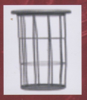 MASTURLAL BACK PIC 9